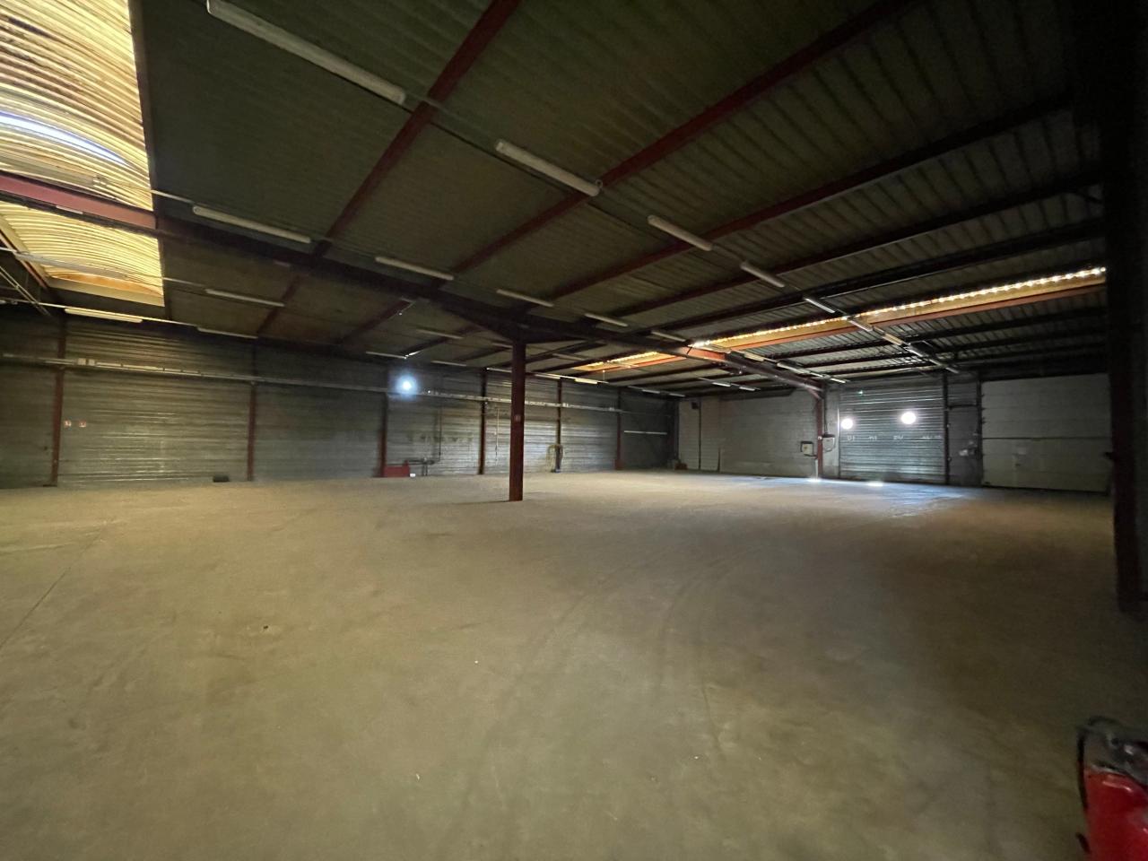 Local d'activité Erstein 1690m² Location local d'activité Erstein Bas-Rhin OLACT2313692 11